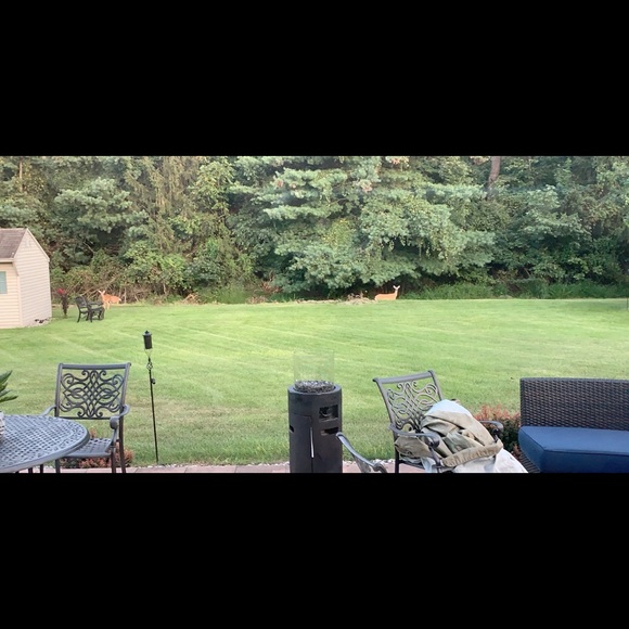 Meet your Posher, Bryelle - Picture 1 of 1